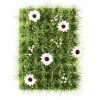 Basil Grass
