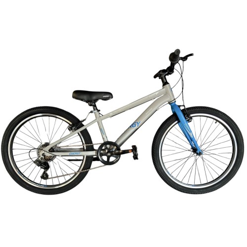 Energy Enigma 20” Alloy