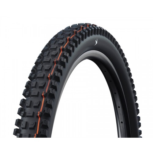 Ελαστικό Βουνού Schwalbe Albert 29×2,50 Radial Evolution Trail Pro TLR Soft (Διπλωτό)
